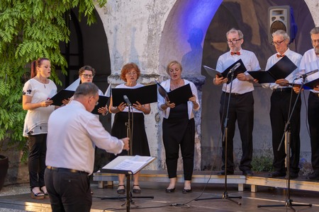 Domovini_koncert domoljubnih pesmi (18)